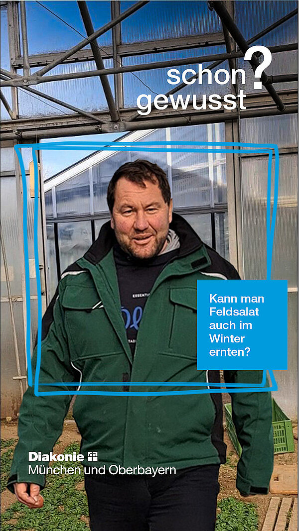 Kann man Feldsalat auch im Winter ernten? Kann man Feldsalat auch im Winter ernten?
