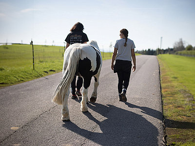 Zwei Menschen gehen zusammen mit einem Pferd spazieren.