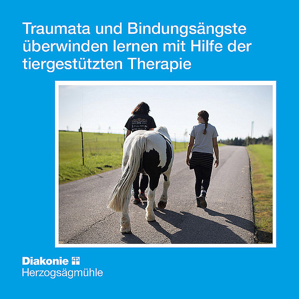 mehr lesen über das Spendenprojekt Tiergestütze Therapie