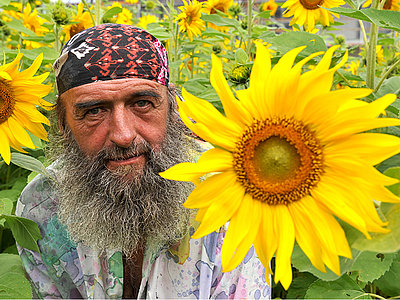 Bärtiger Mann inmitten eines Sonnenblumenfeldes. Bärtiger Mann inmitten eines Sonnenblumenfeldes.
