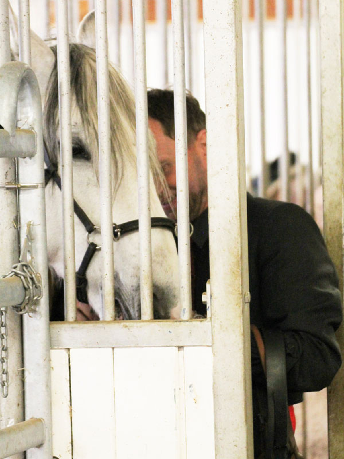Weißes Pferd im Stall mit einem Mann