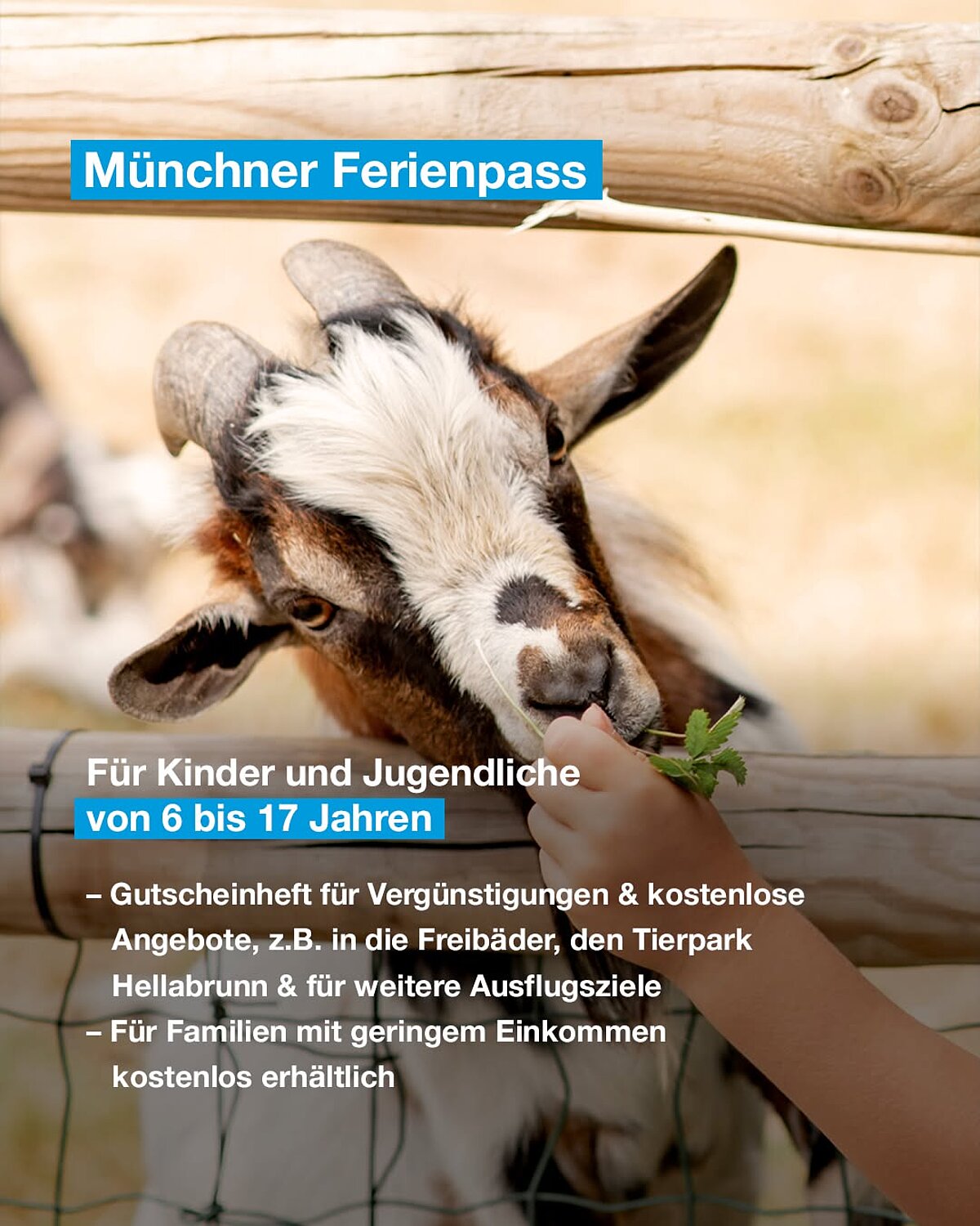 Münchner Ferienpass: Für Kinder und Jugendliche von 6 bis 17 Jahren. Gutscheinheft für Vergünstigungen und kostenlose Angebote, z.B. in die Freibäder, den Tierpark Hellabrunn und für weitere Ausflugsziele. Für Familien mit geringem Einkommen kostenlos erhältlich