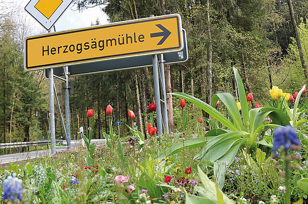 Abbiegung mit Straßenschild nach Herzogsägmühle, im Vordergrund Blühstreifen, im Hintergrund Bäume.