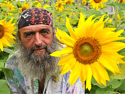 Bärtiger Mann inmitten eines Sonnenblumenfeldes.